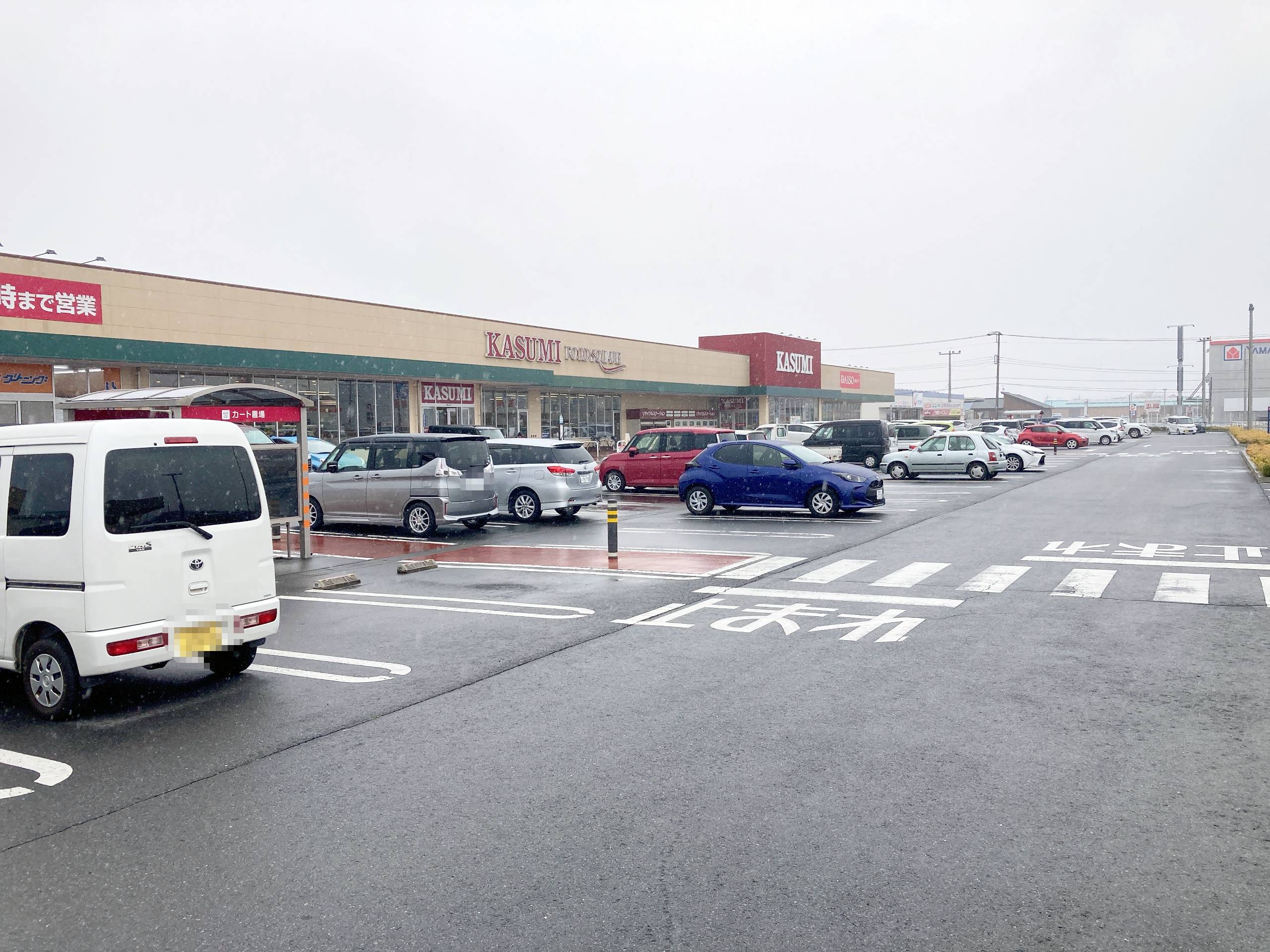 カスミフードスクエア横芝光店